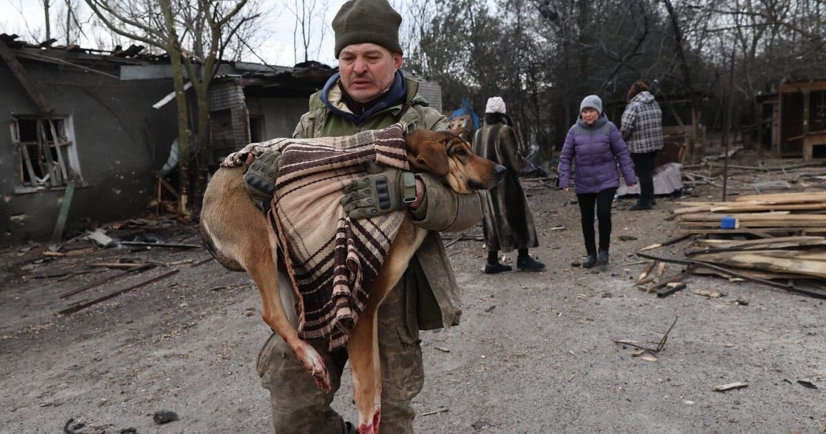 Ruský útok zasiahol psí útulok na Ukrajine, množstvo zvierat zahynulo
