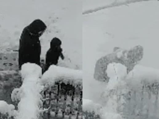 Zázrak v New Yorku: Mníška a dieťa unikli pod padajúcim stromom