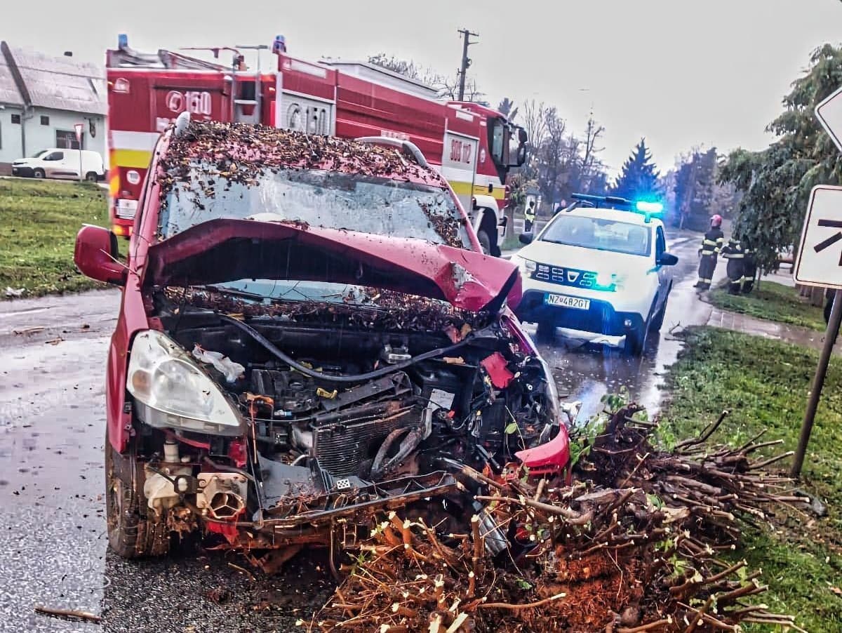 Vážna nehoda v Dvoroch nad Žitavou: Vodič s 3,06 promile narazil do stromu