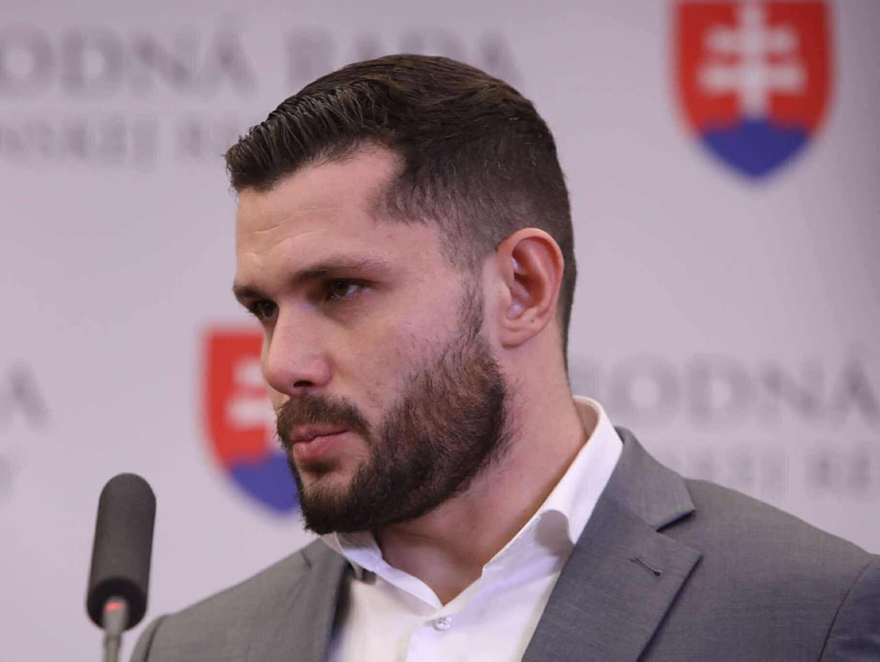 Glück zvolal mimoriadny výbor kvôli stíhačkám MiG-29