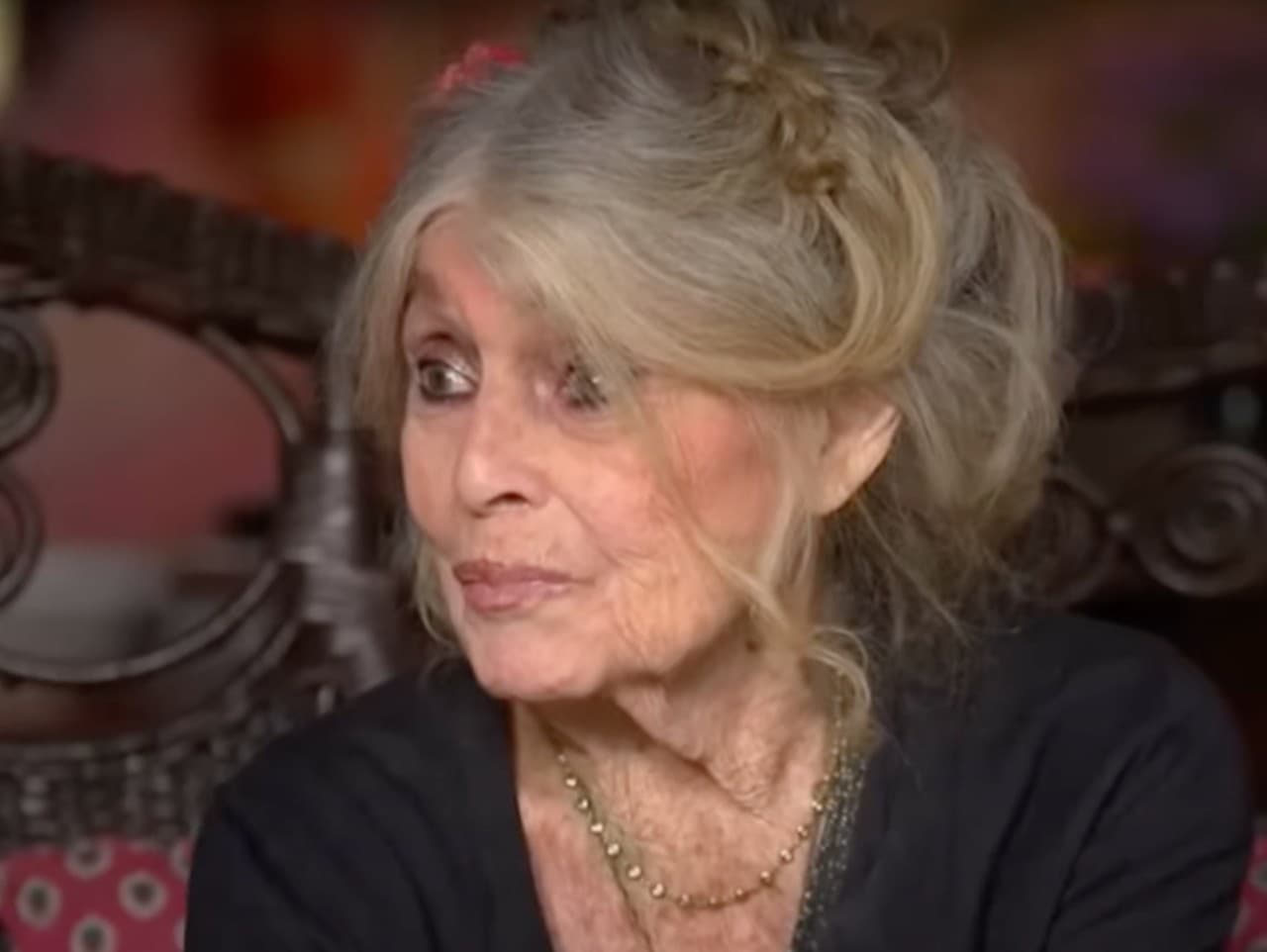 Brigitte Bardot: Ostré vyhlásenie pred smrťou o falošných správach