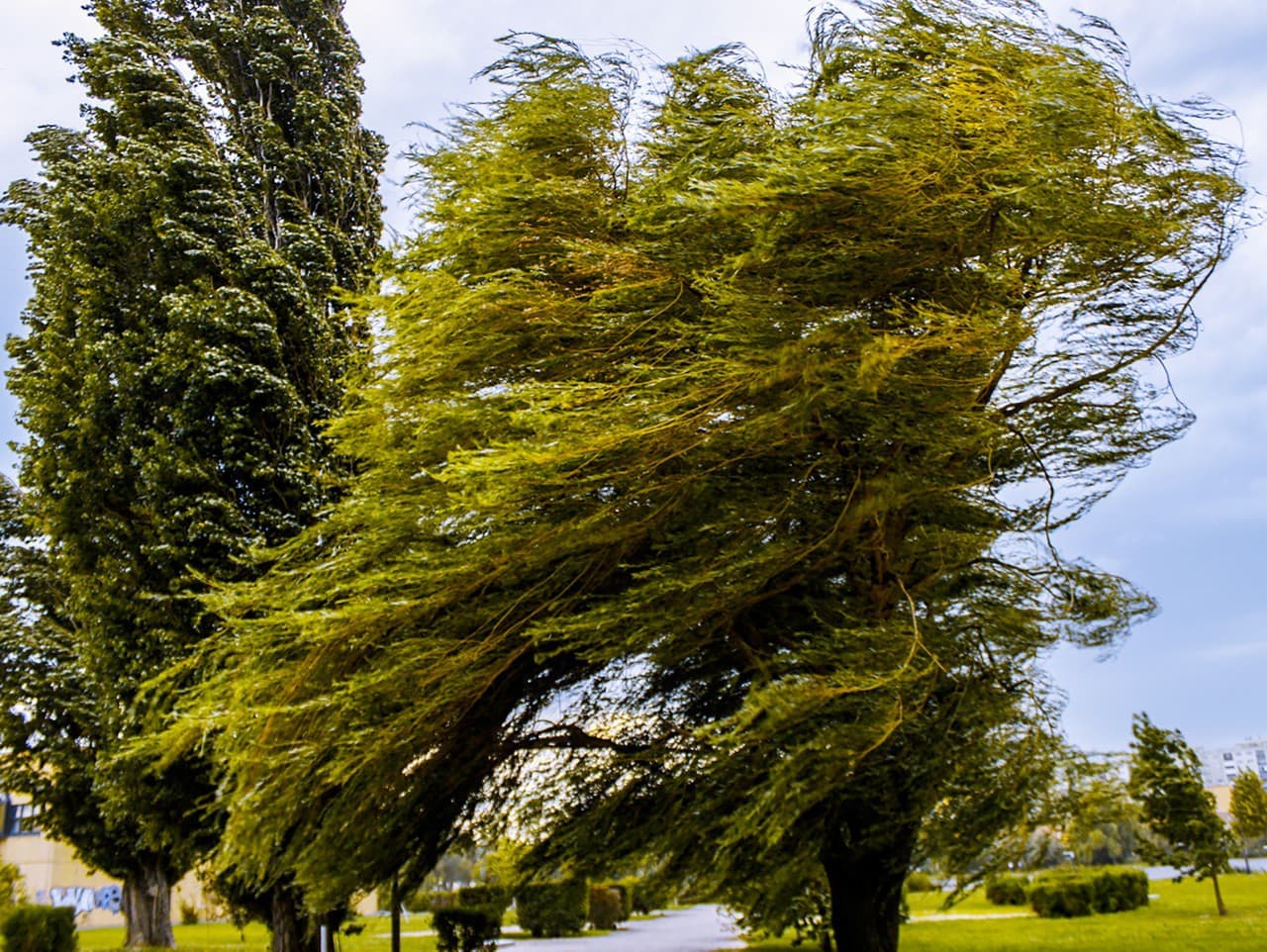 Silný vietor zasiahne Slovensko: Meteorológovia varujú pred nebezpečenstvom