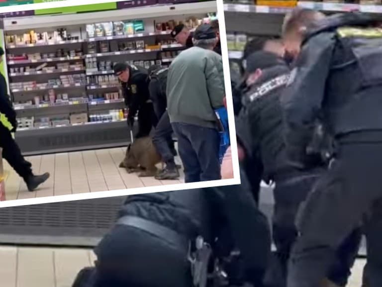 Diviak spôsobil chaos v plzenskom nákupnom centre