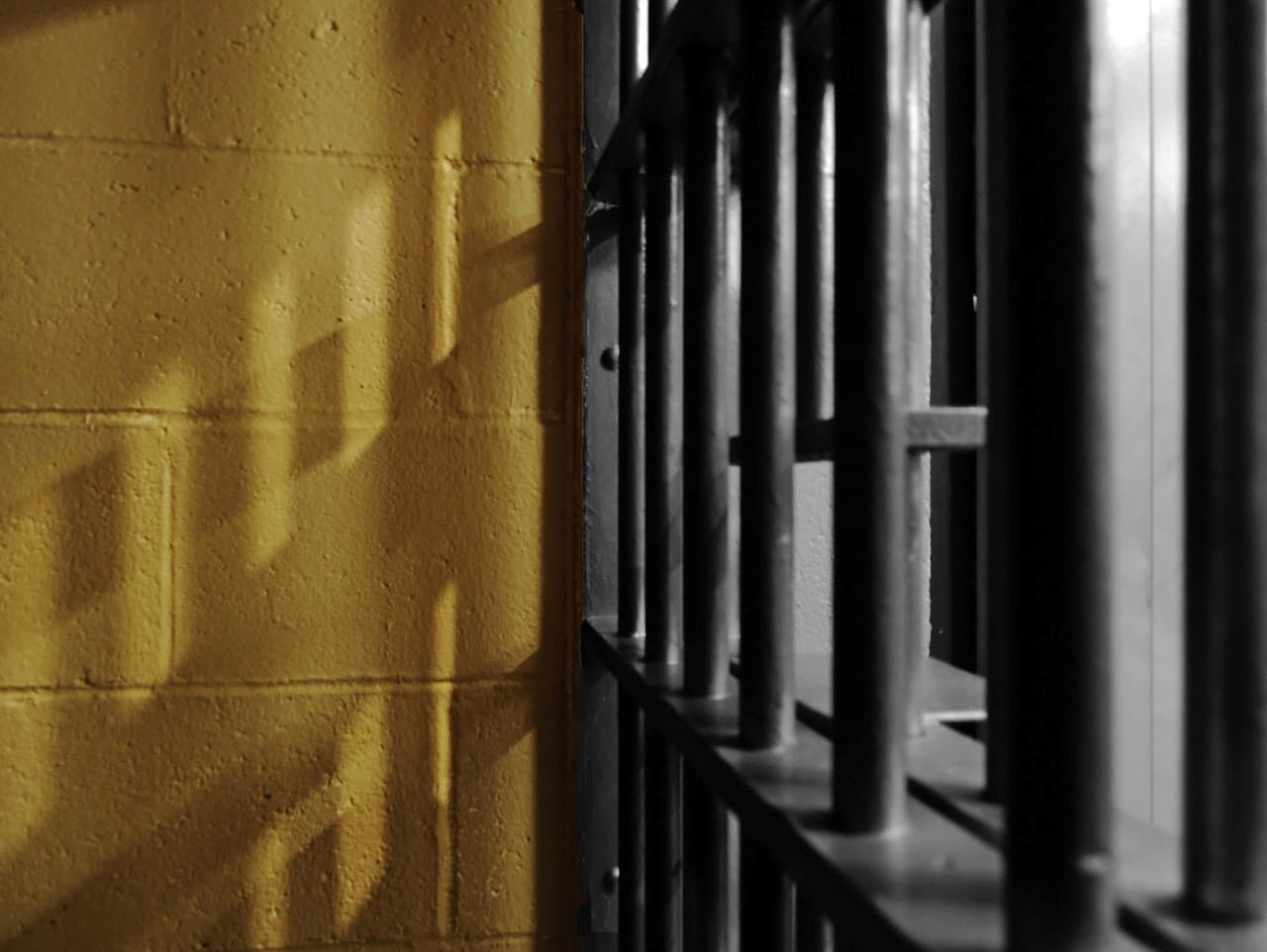 Žena odsúdená za týranie šteňaťa počas rituálu