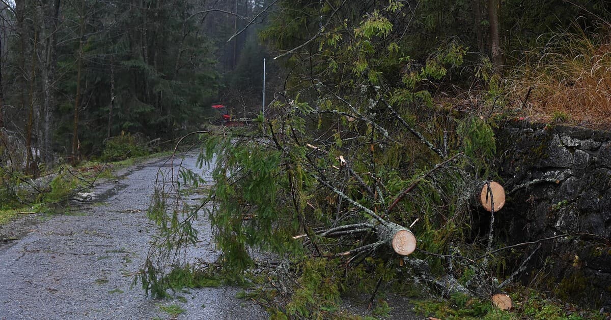 Na horách hrozí silný vietor a hustá hmla, SHMÚ varuje