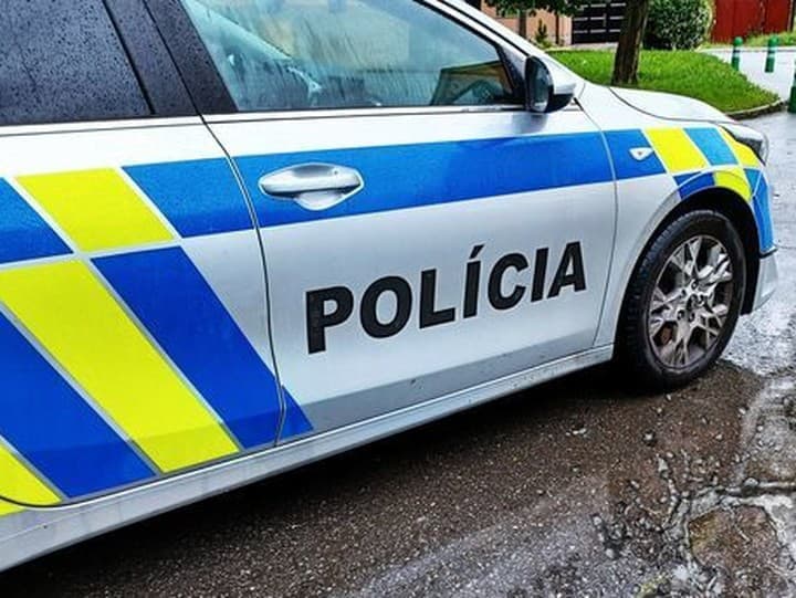 Polícia obvinila 67-ročného muža z vraždy v Henclovej