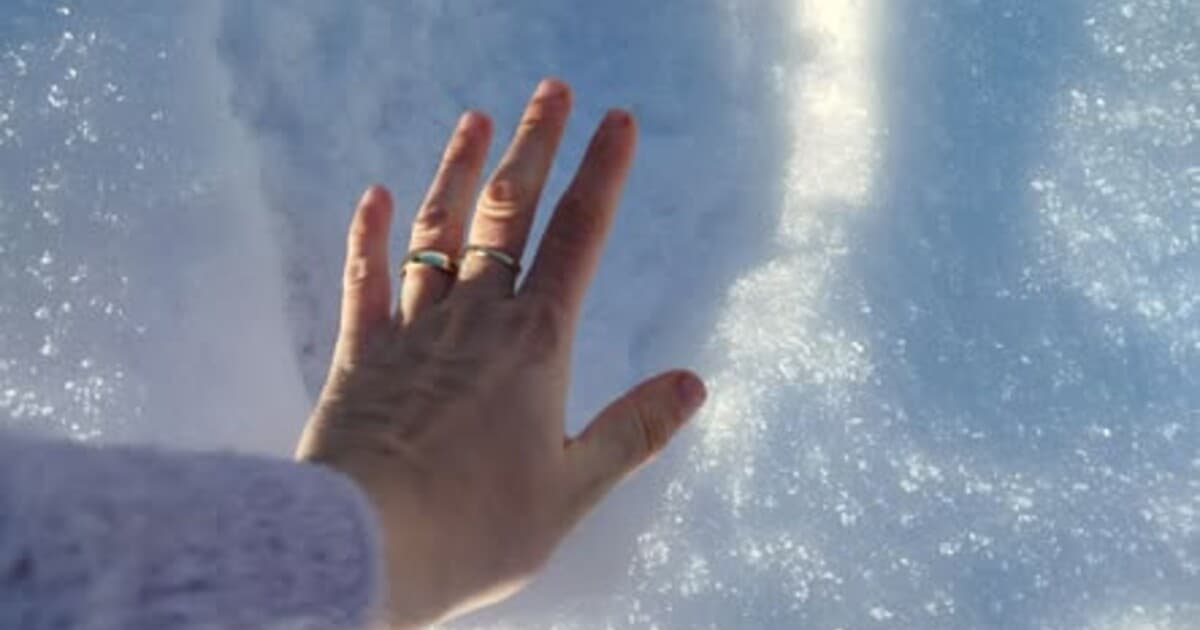 Medveď v Tvarožnej ohrozuje obyvateľov, obec varuje pred nebezpečenstvom