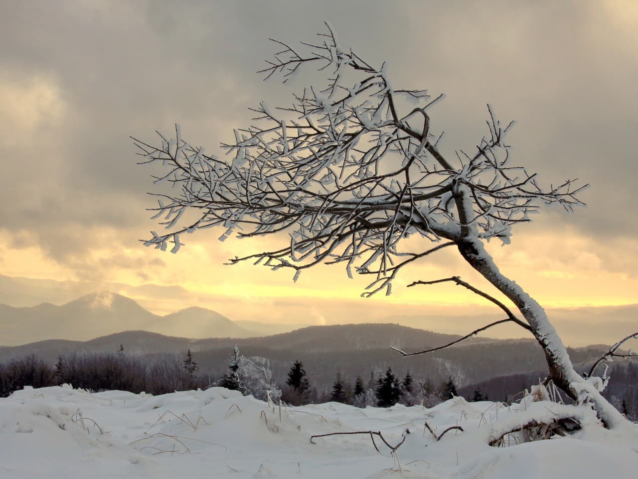 Na severe a v strede Slovenska hrozí silný mráz
