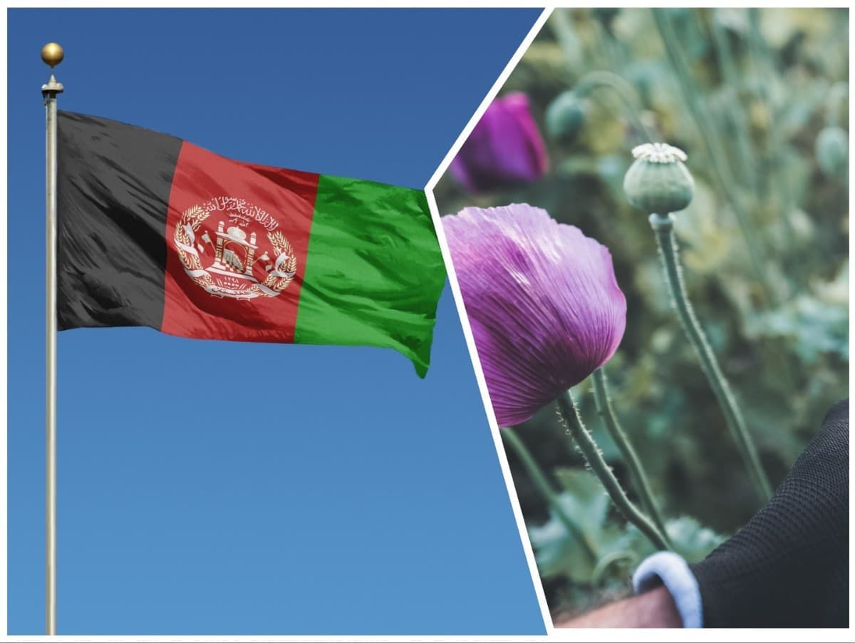 Afganskí farmári trpia po zákaze pestovania maku