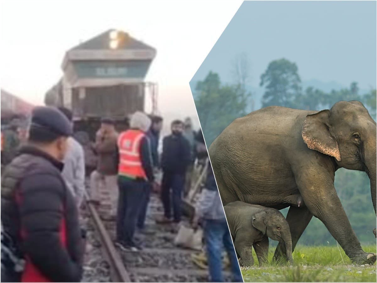Tragédia v Ásame: Osobný vlak zrazil stádo slonov, sedem zahynulo