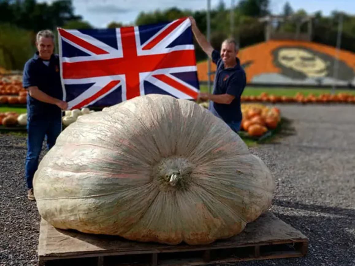 Anglickí bratia prekonali rekord s obrovskou tekvicou