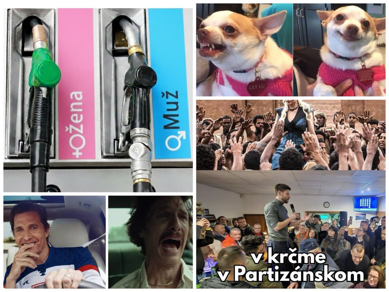 Politická satira a olympijská atmosféra: Vtipy na adresu politikov