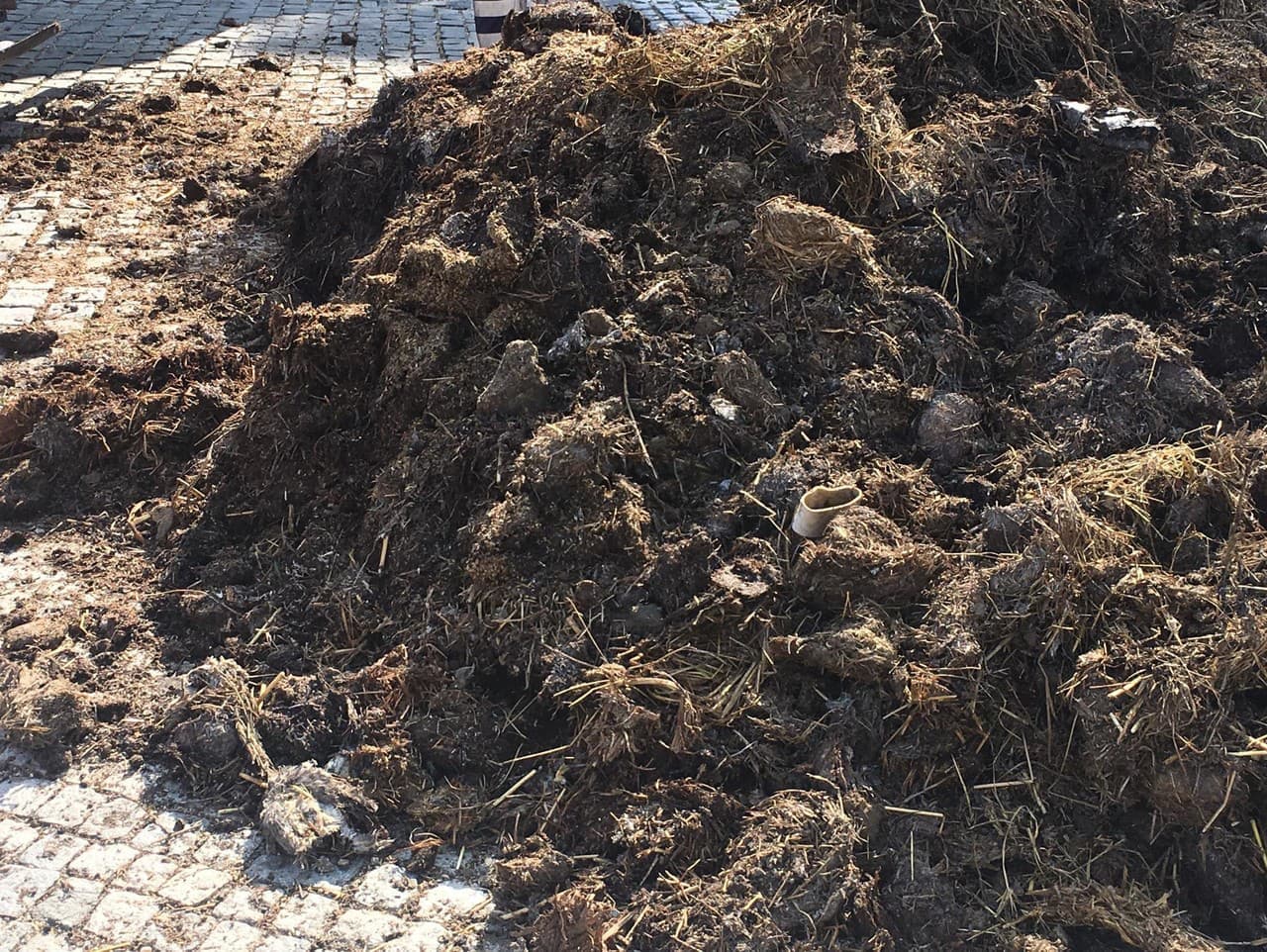 Európska komisia prijala nové pravidlá pre hnojivá z hnoja