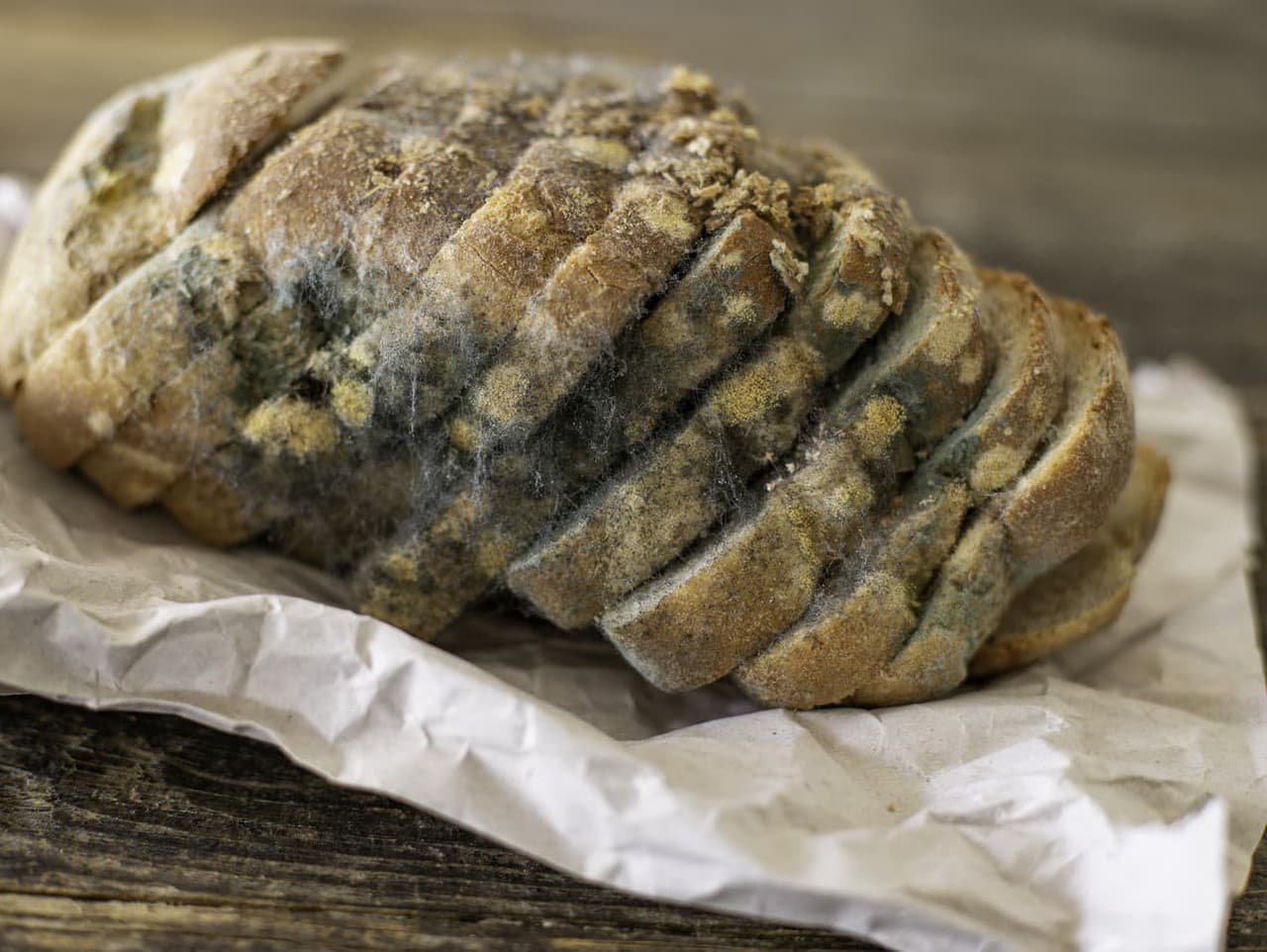 Zdravotné riziká konzumácie plesnivého chleba