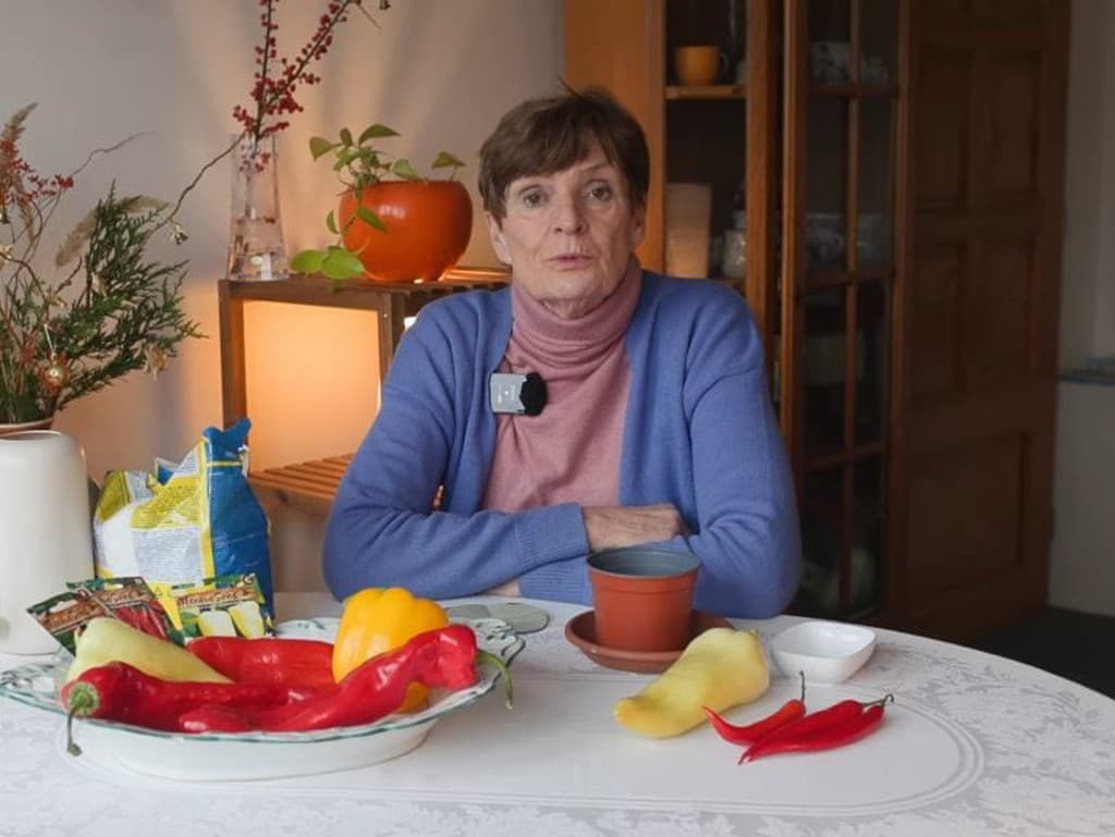 Ideálny čas na výsev papriky: Plánujte novú záhradkársku sezónu