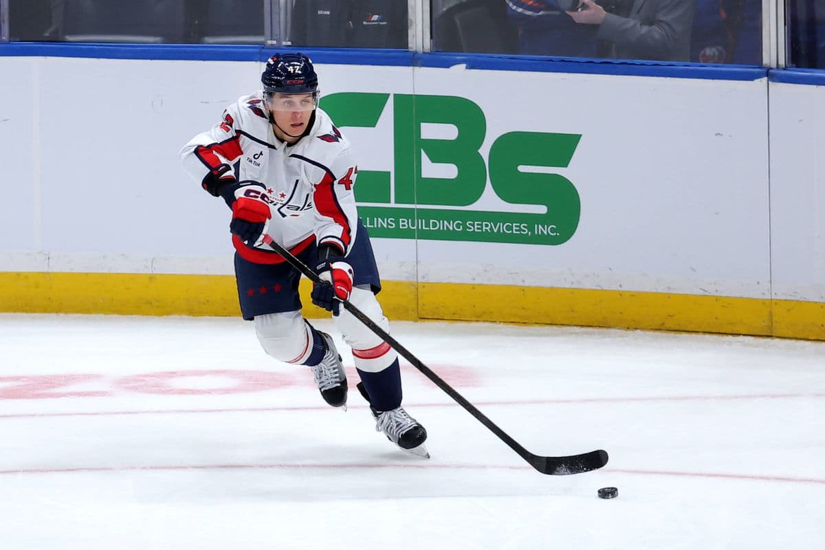 Washington Capitals v kríze: Fehérváry ako nádej na zlepšenie?