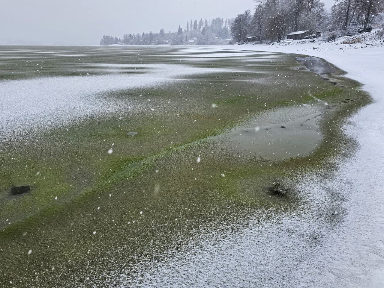 Zelený ľad na priehrade Lipno: Unikátna podívaná z Južných Čiech