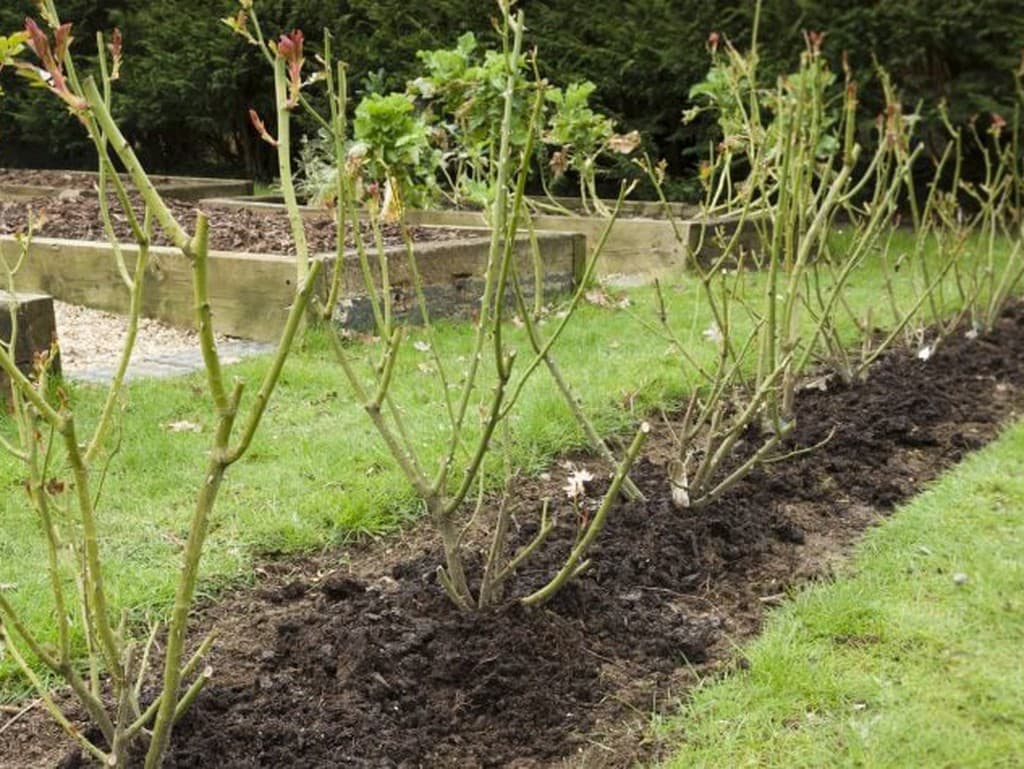 Február: Kľúčový mesiac pre záhradkárov