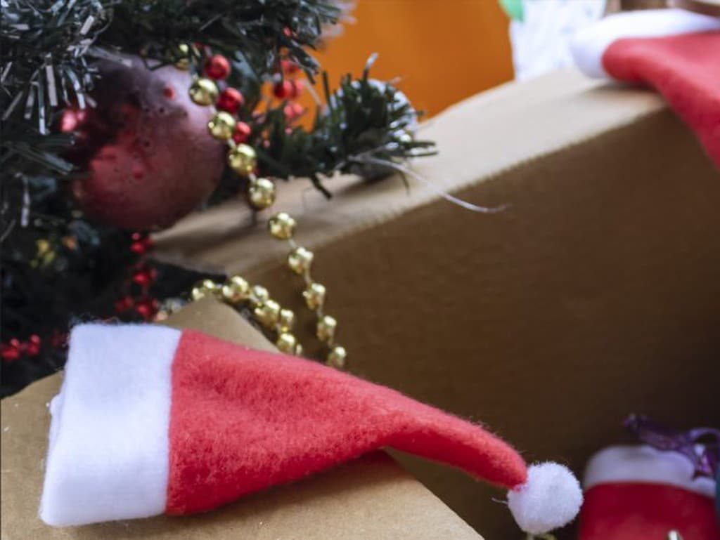 Kedy je správny čas na odstránenie vianočného stromčeka?