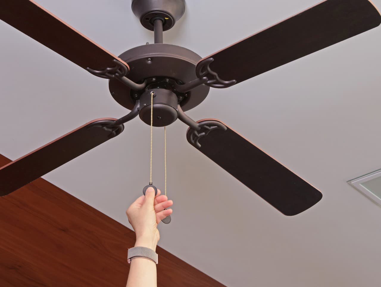 Tragédia v Indii: Matka sa obesila kvôli strachu z mravcov