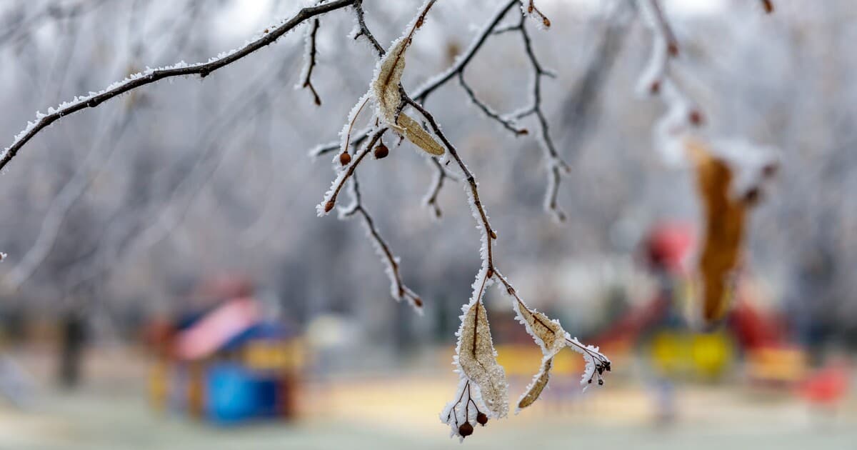 Slovensko zažilo rekordne nízke teploty, mrazy pokračujú