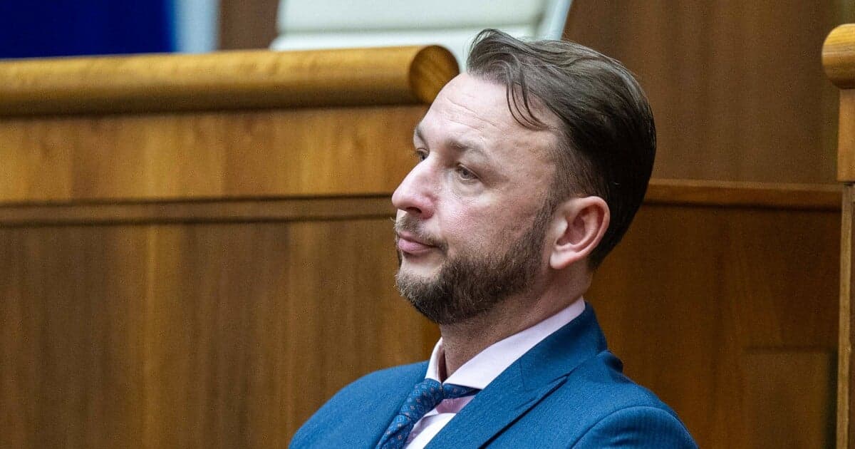 Hlas-SD navrhuje daňové zvýhodnenie pre matky na Slovensku