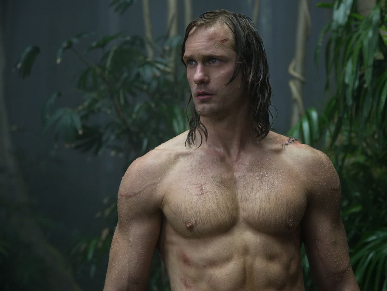 Alexander Skarsgård a jeho sexuálna orientácia: Tajomstvo alebo nedorozumenie?