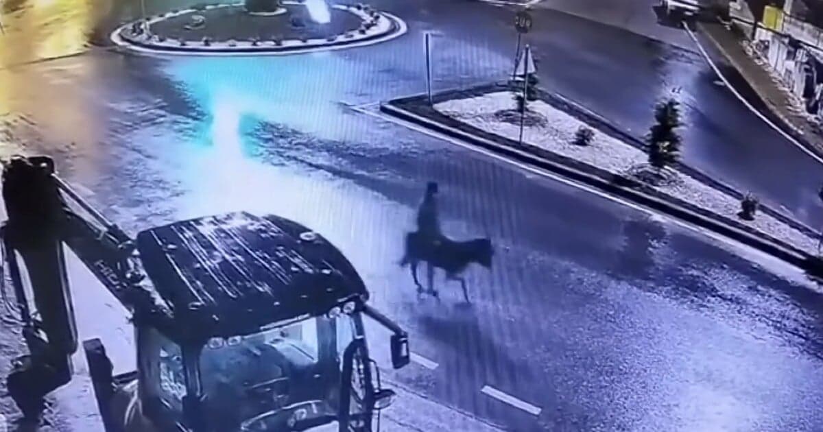 Bizarná lúpež v Turecku: Zlodej ušiel na oslíku