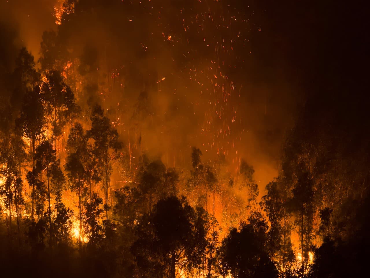 Čile čelí devastujúcim lesným požiarom, počet obetí stúpa
