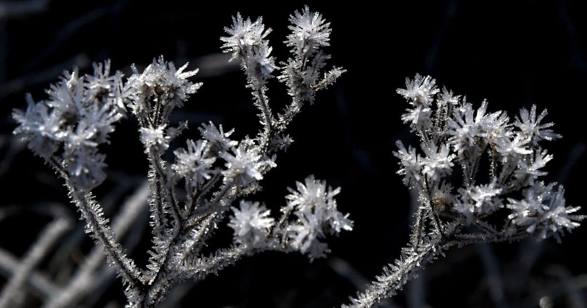 Na Slovensko prichádza extrémna zima zo Sibíri