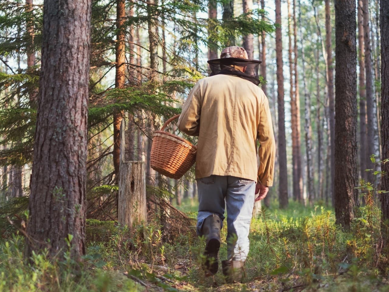 Pozor na pokuty za trhanie chránených rastlín: Až 10 tisíc eur!
