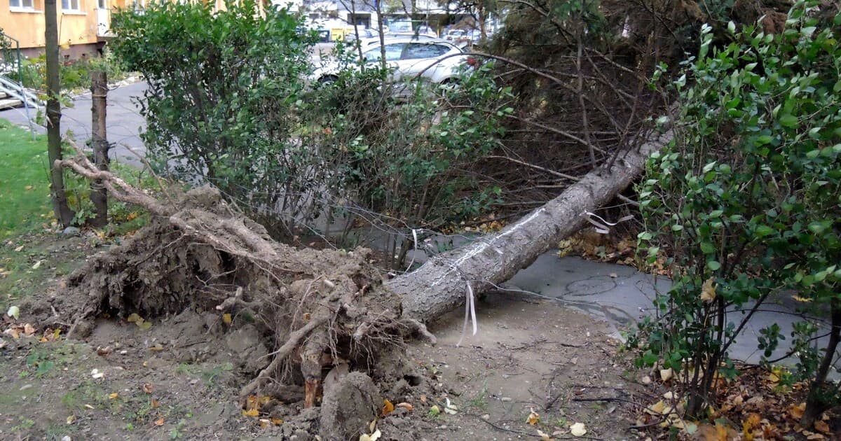 Na Slovensku hrozí víchrica: Vietor dosiahne rýchlosť 135 km/h