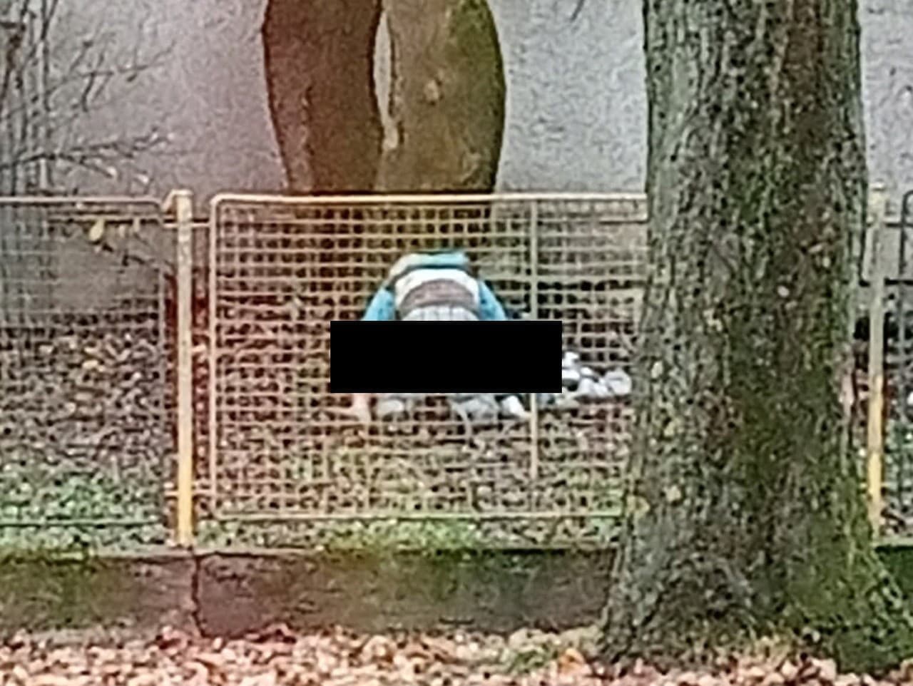 Nečakaný zážitok v Trebišove: Pár si užíval na trávniku za bieleho dňa