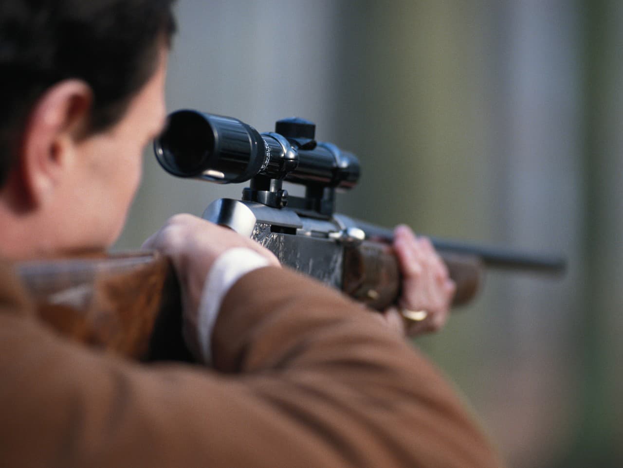 Fínski poľovníci ulovili 81 vlkov, kvóta sa blíži k naplneniu