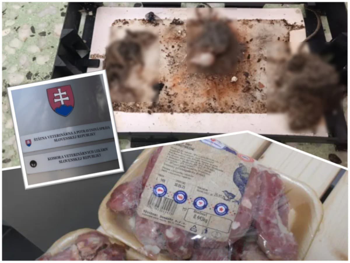 Kontroly potravín odhalili šokujúce nedostatky v obchodoch
