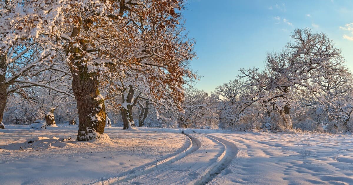 Zima sa vracia: Mrazy a sneženie zasiahnu Slovensko