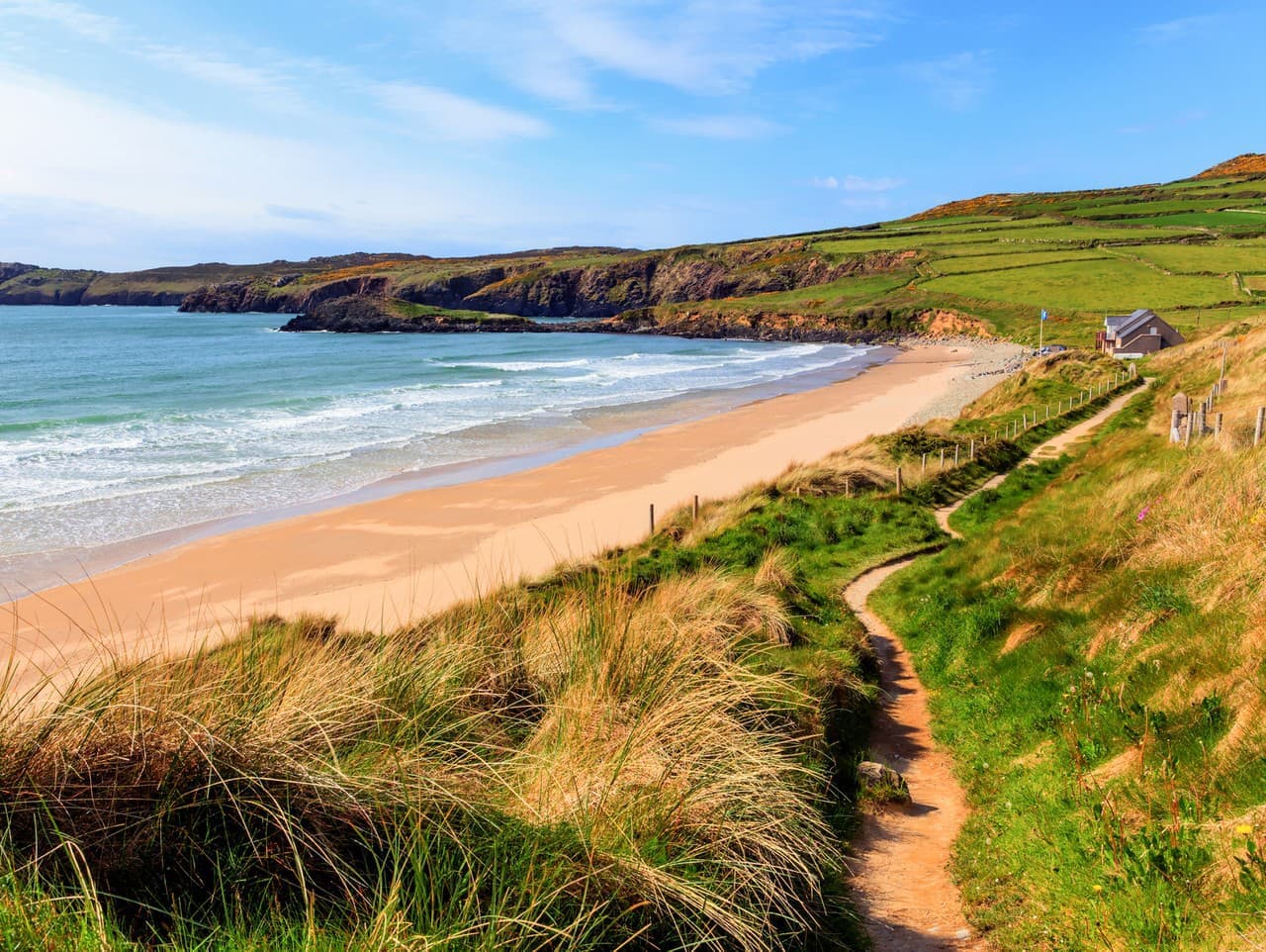 Nezvyčajný objav na pláži: Morské škorpióny zaujali odborníkov