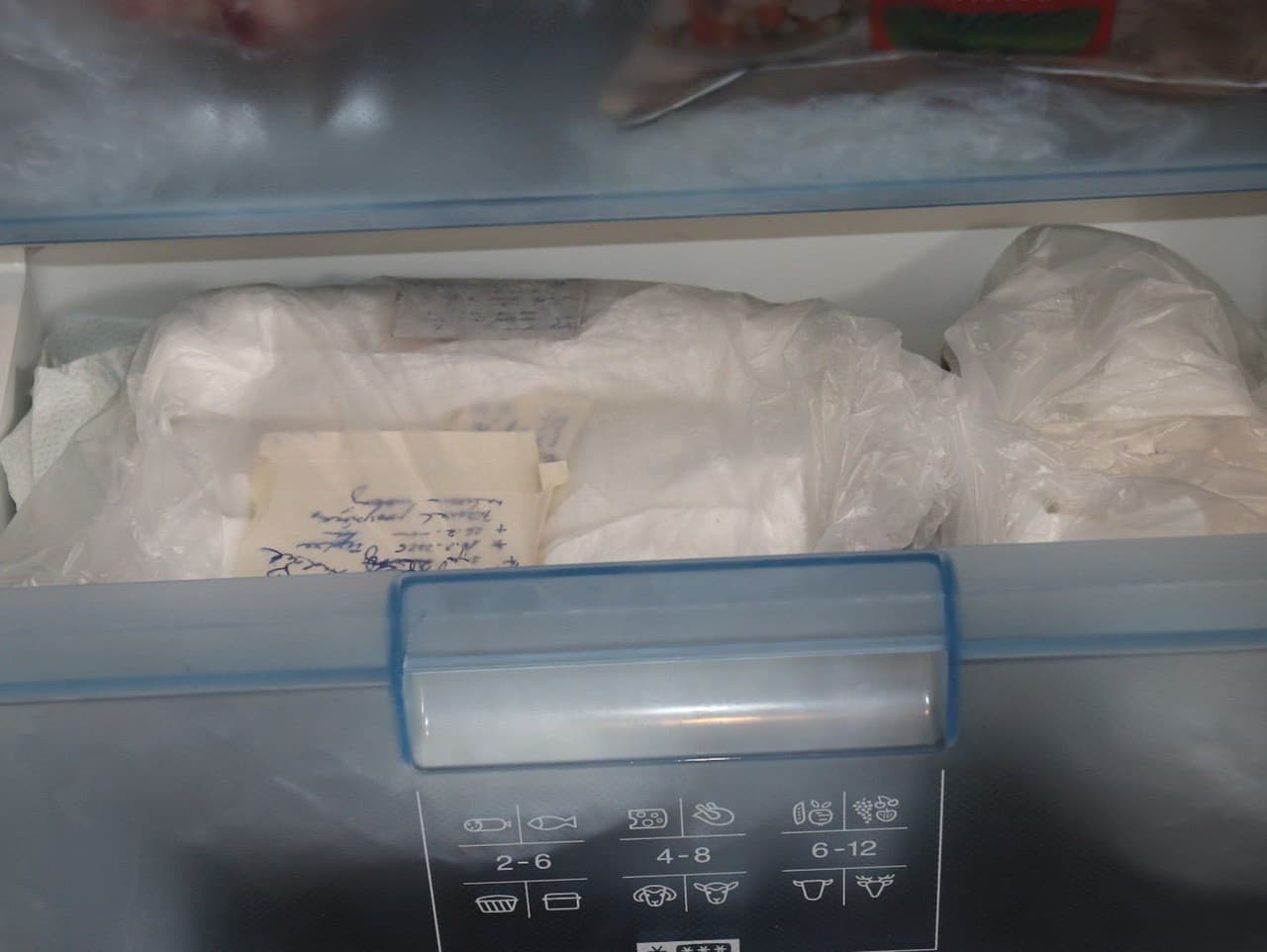 Hrozivý prípad týrania zvierat v Tepliciach: Vyše 100 mačiatok v mrazničke