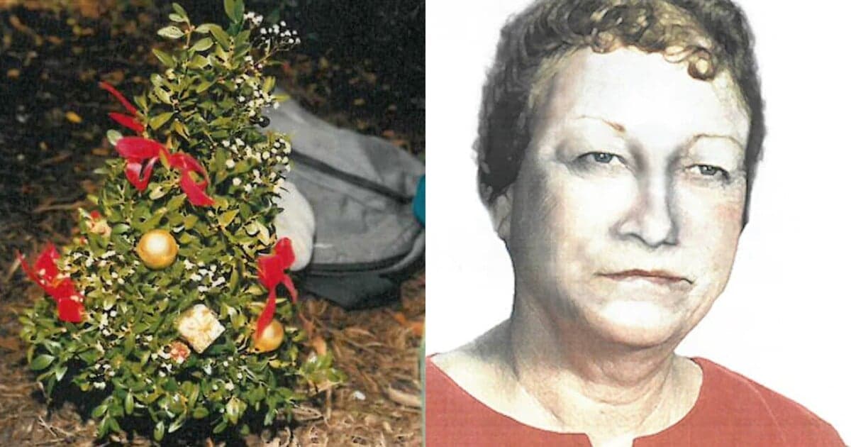 Záhada Christmas Tree Lady: Mysteriózna smrť ženy s vrecom na hlave