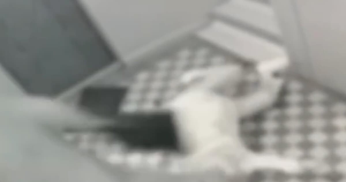 Muž v Prievidzi brutálne napadol 87-ročnú ženu