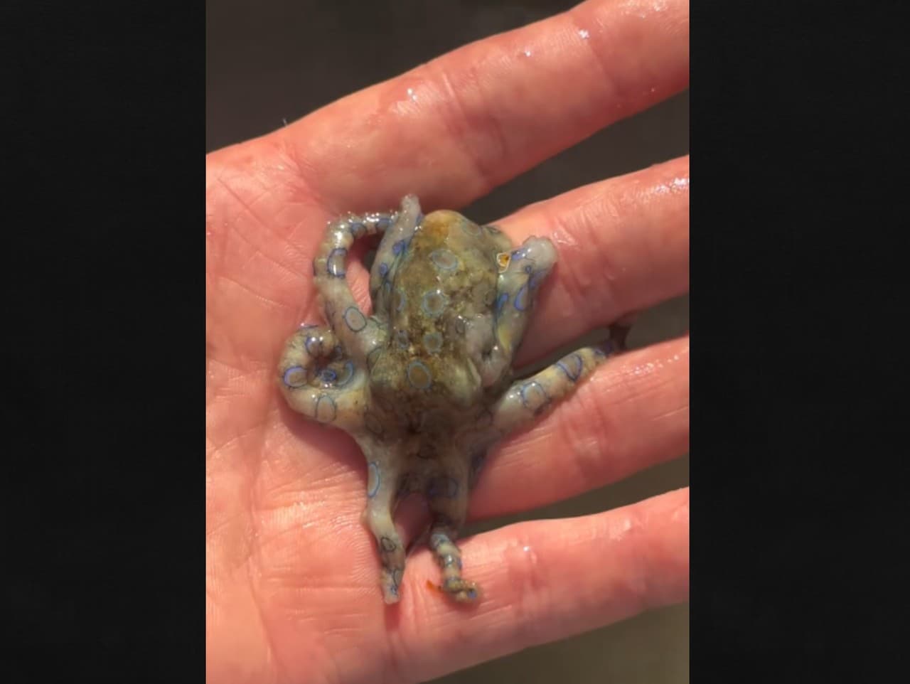 Britský publicista prežil zázrak na dovolenke na Filipínach