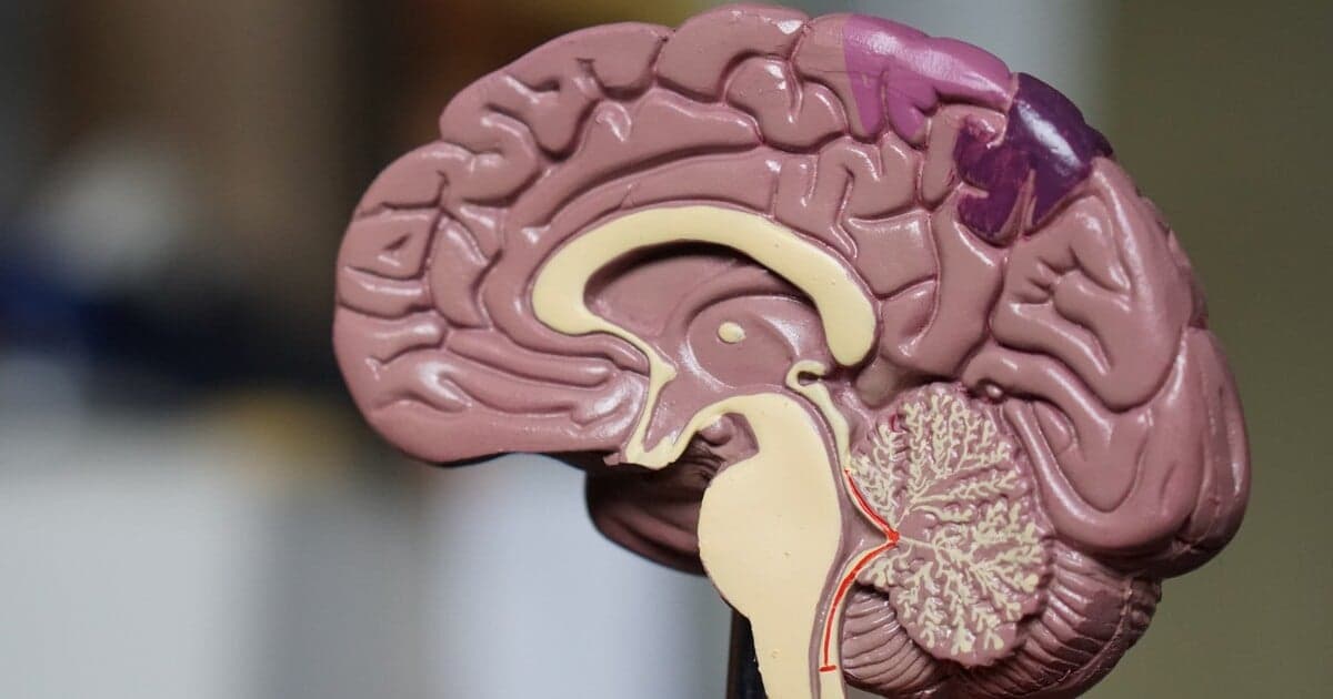 Vedci odhalili, kedy človek skutočne dospeje: prekvapivé zistenia