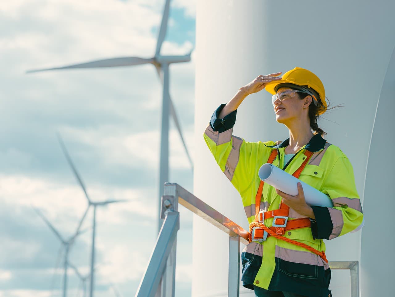 Jadrová energetická spoločnosť: Veterné parky nie sú prioritou