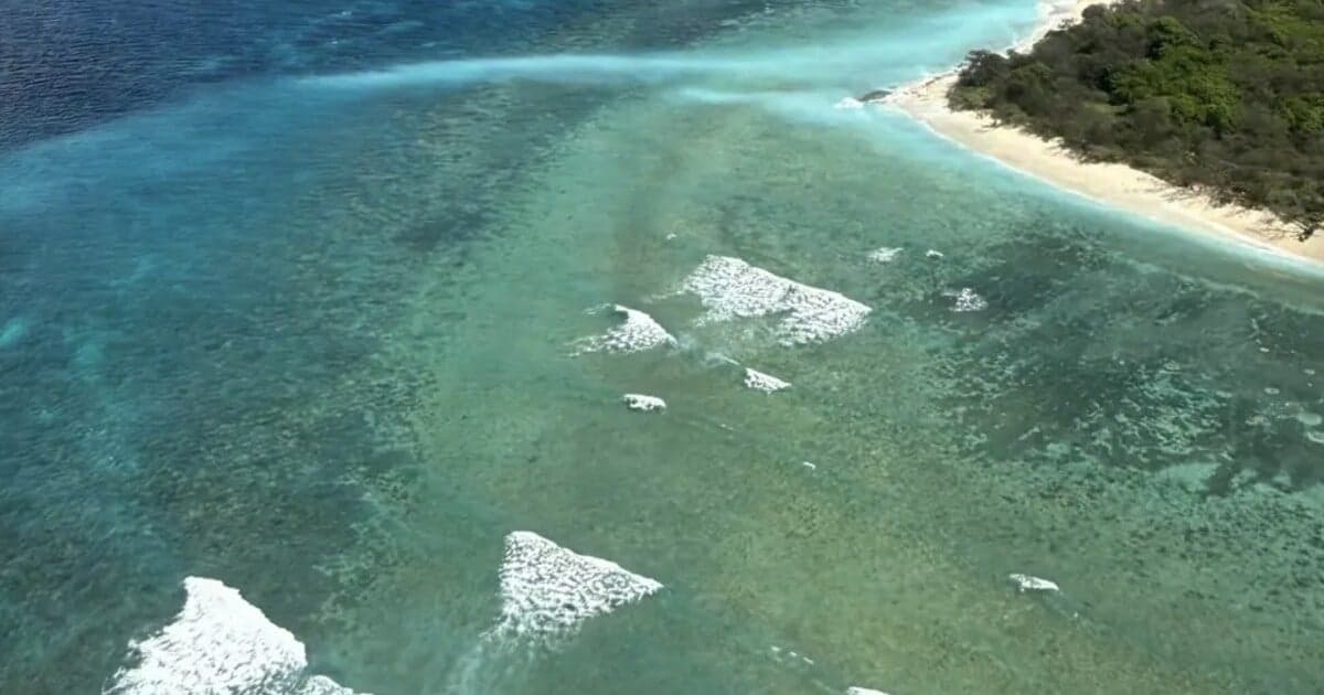 Žralok zaútočil na turistu pri ostrove Lady Elliot