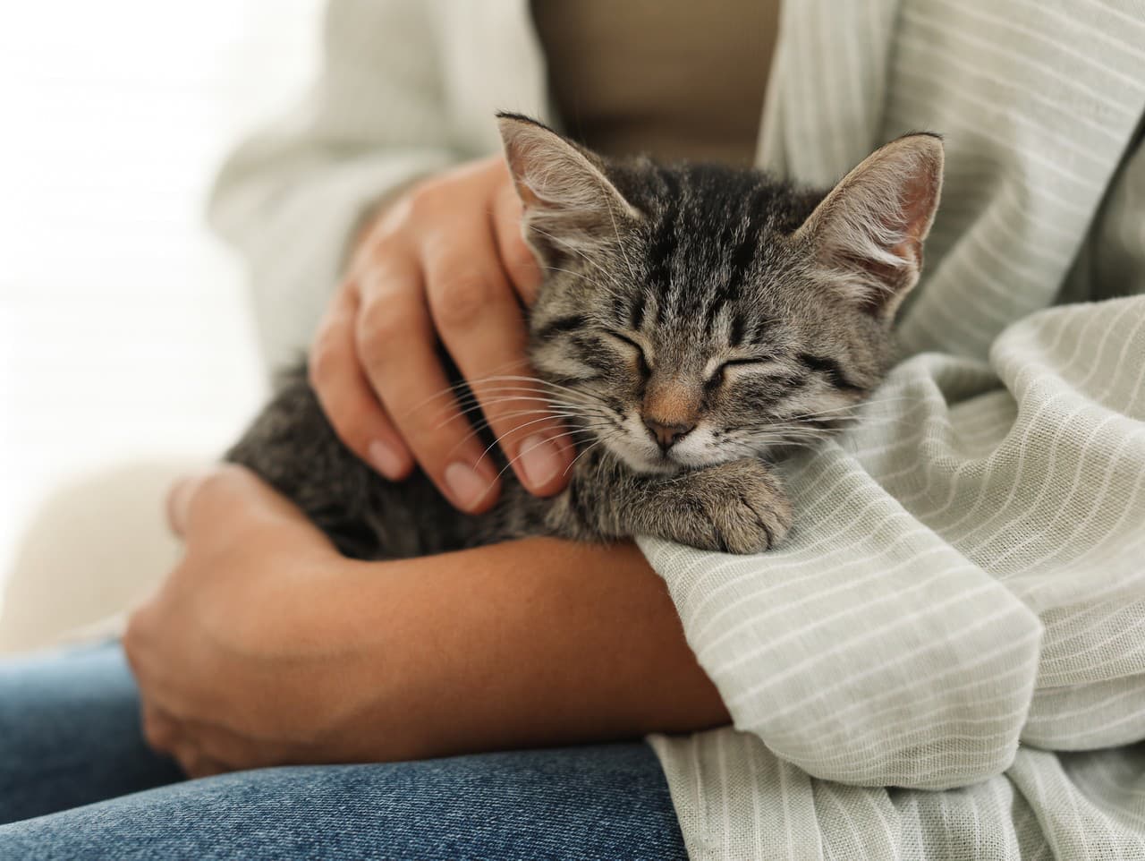 Mačka Jontama prevzala vedenie železničnej stanice v Japonsku