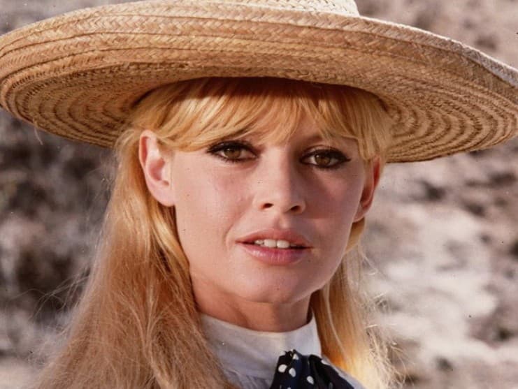 Brigitte Bardot: Kontroverzná ikona s provokatívnymi názormi