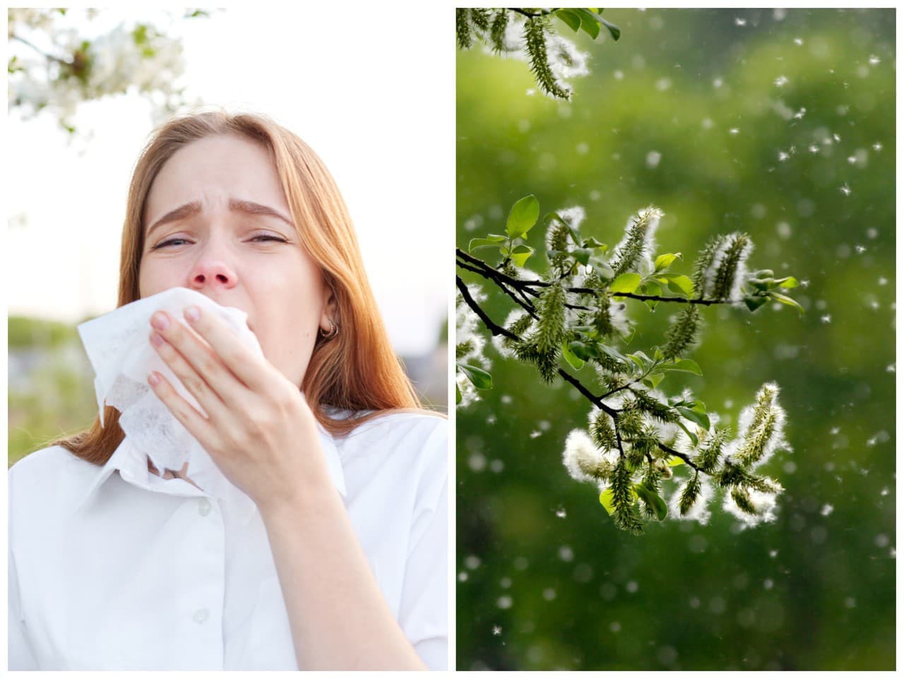 Jarné alergie: Ako prežiť sezónu kýchania a svrbenia
