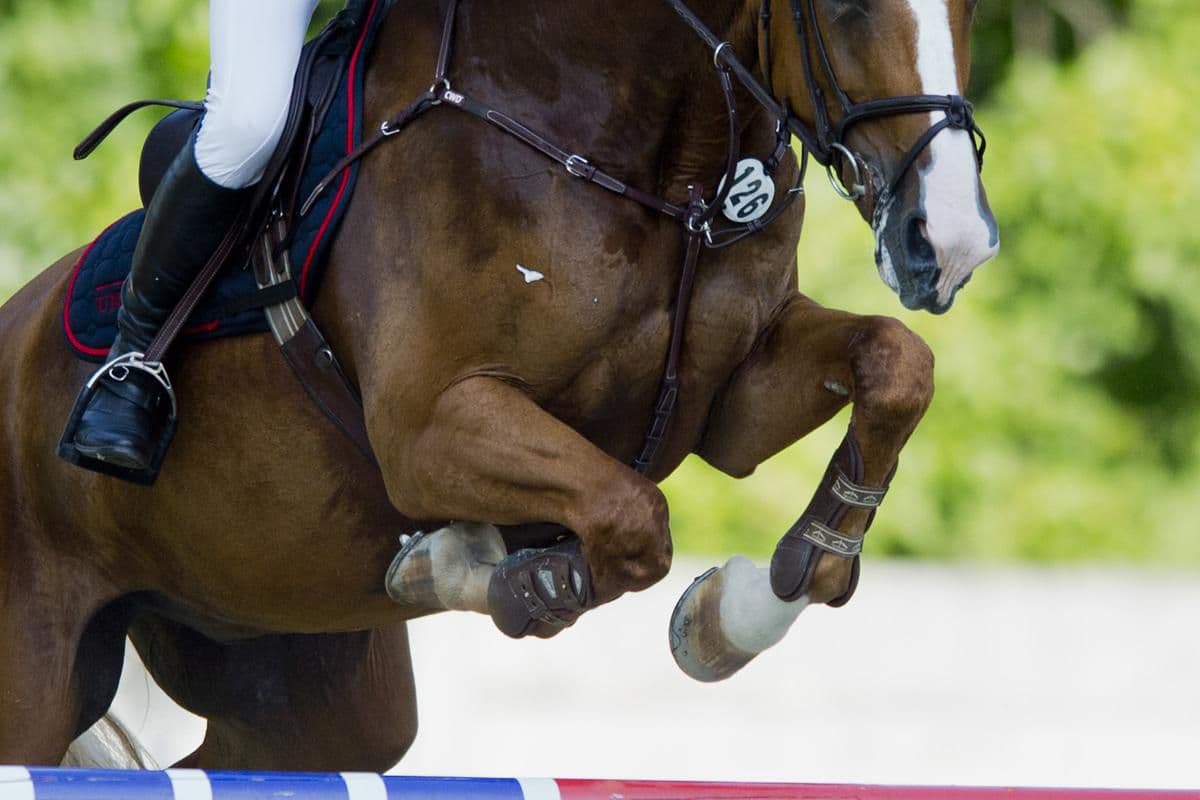 Prešov plánuje jazdecké centrum, súčasný nájomník spúšťa petíciu