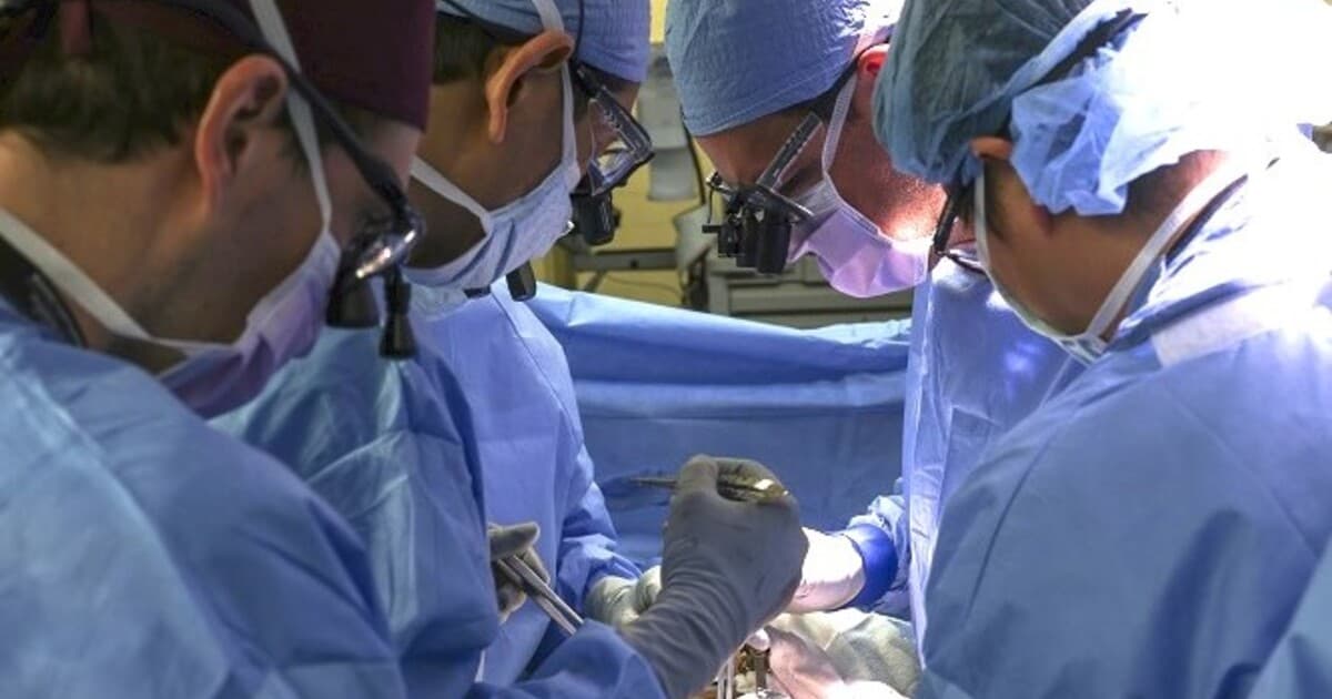 Slovenskí lekári dosiahli medicínsky prielom v operácii kostného nádoru