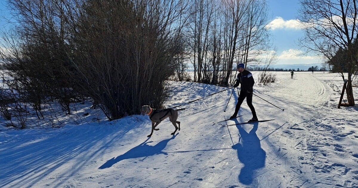 Vianočné počasie: Po hmielach prichádza zlepšenie